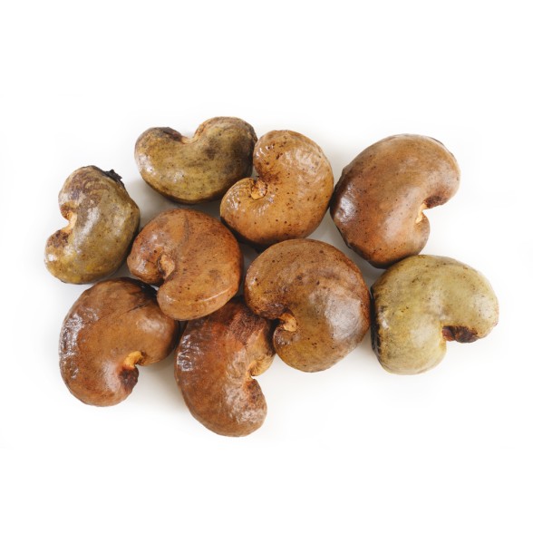 cashew nut