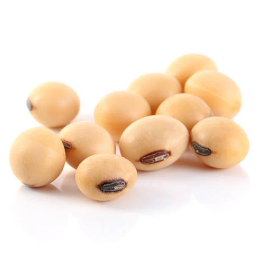 soya bean
